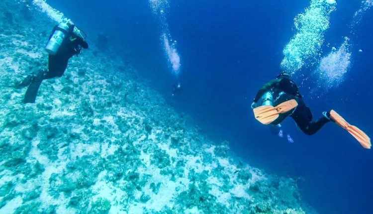 Deep Dive, Descent to Coral Reef Bottom. Scuba Diving in The  Red Sea, Sharm el Sheikh, Egypt