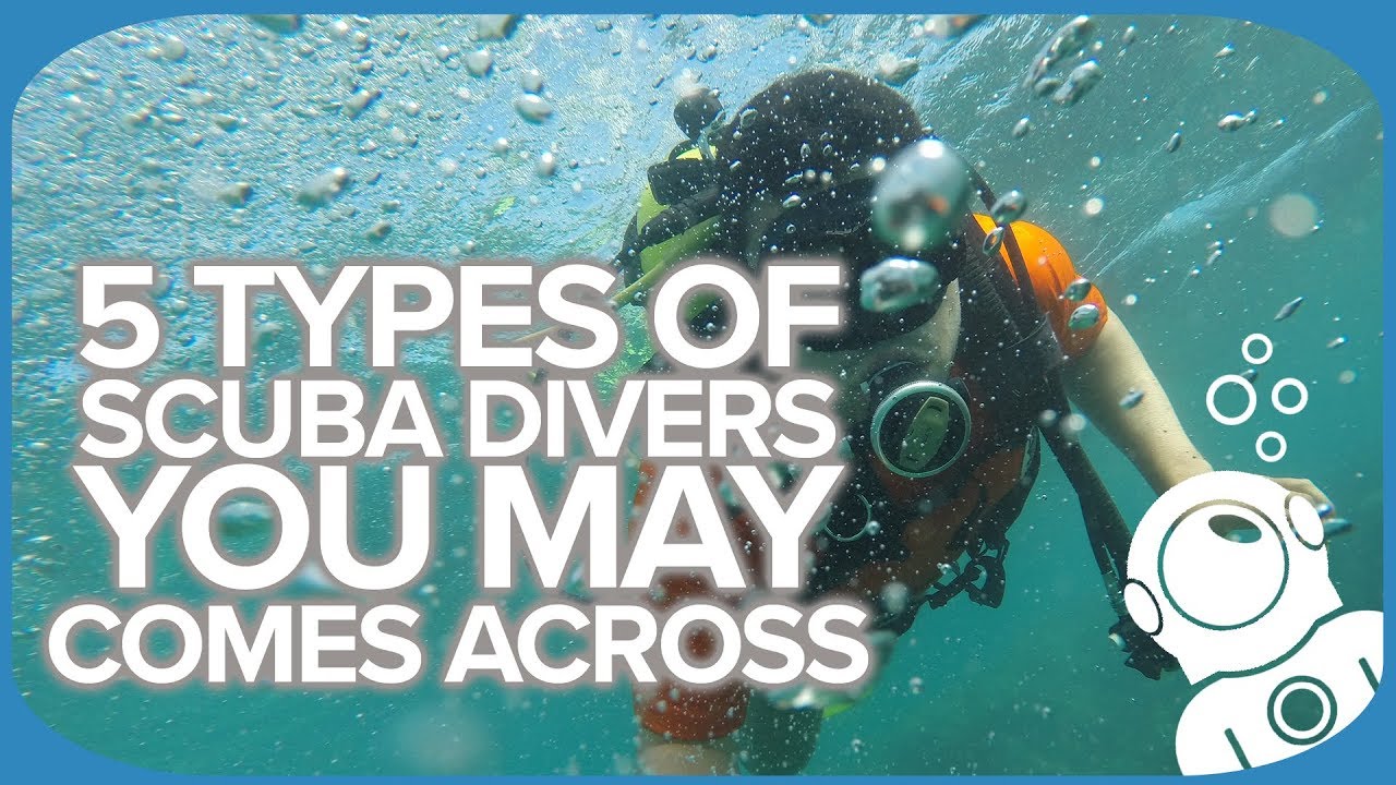 5 Types of Scuba Divers You May Comes Across