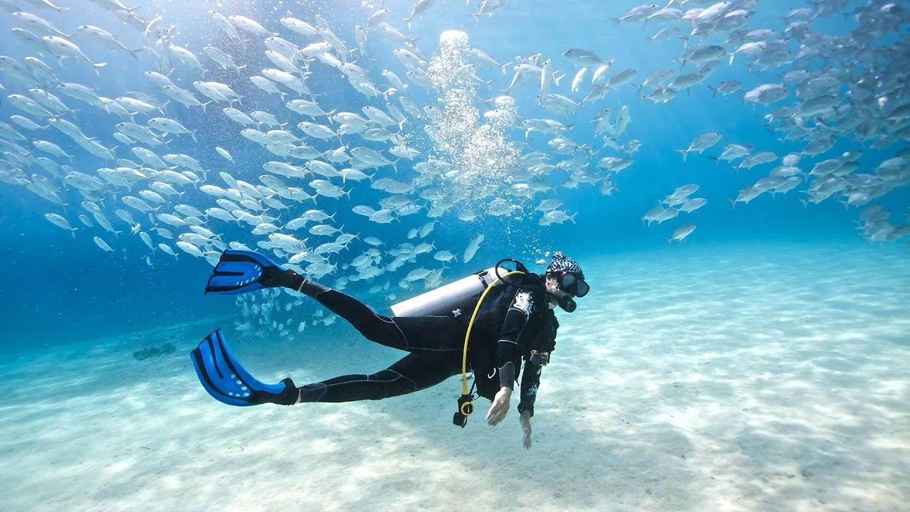 Diving Koh Lipe - Best scuba experience ever