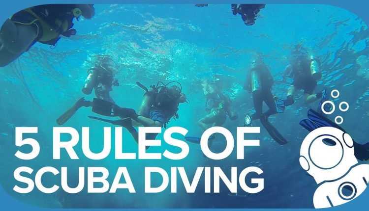 5 Rules Of Scuba Diving
