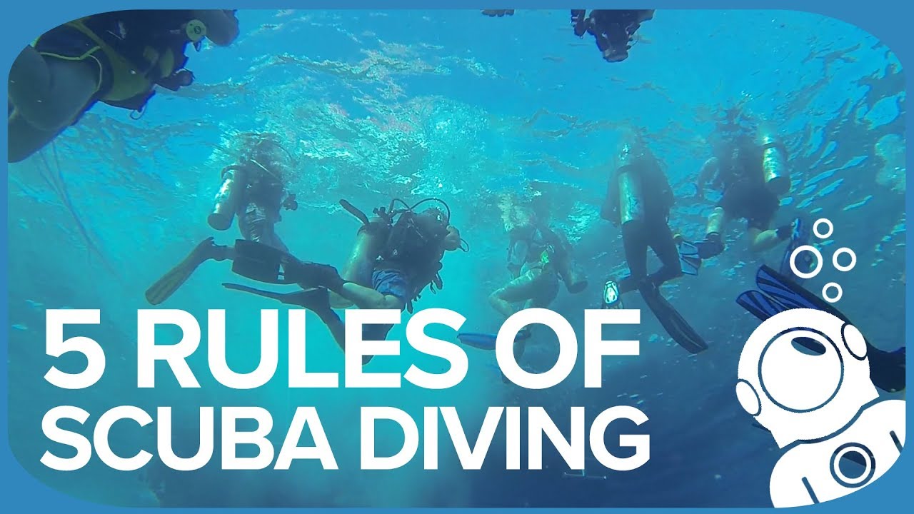 5 Rules Of Scuba Diving