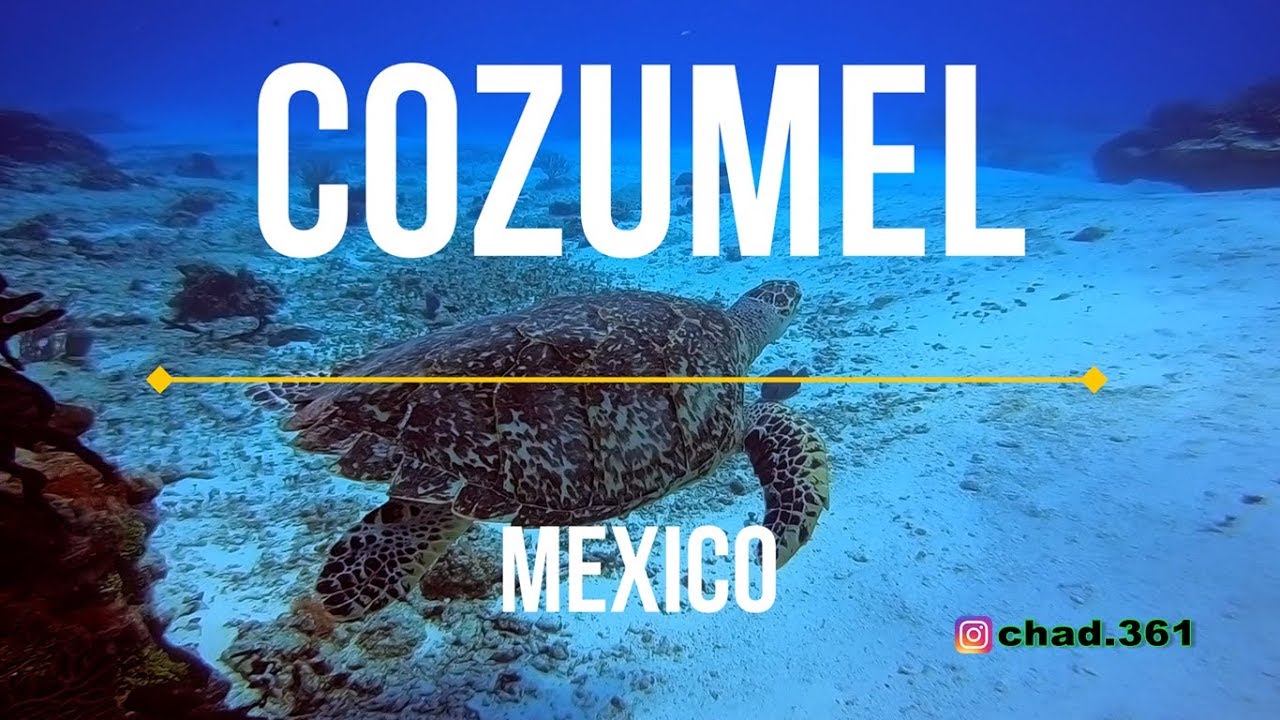 Cozumel Mexico Scuba trip 2018