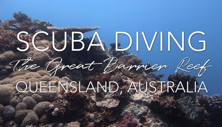 Scuba Diving in The Great Barrier Reef with Pro Dive Cairns Liveaboard (September 2018)