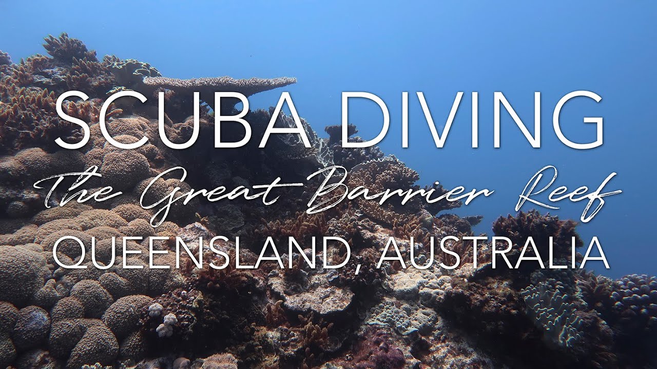 Scuba Diving in The Great Barrier Reef with Pro Dive Cairns Liveaboard (September 2018)