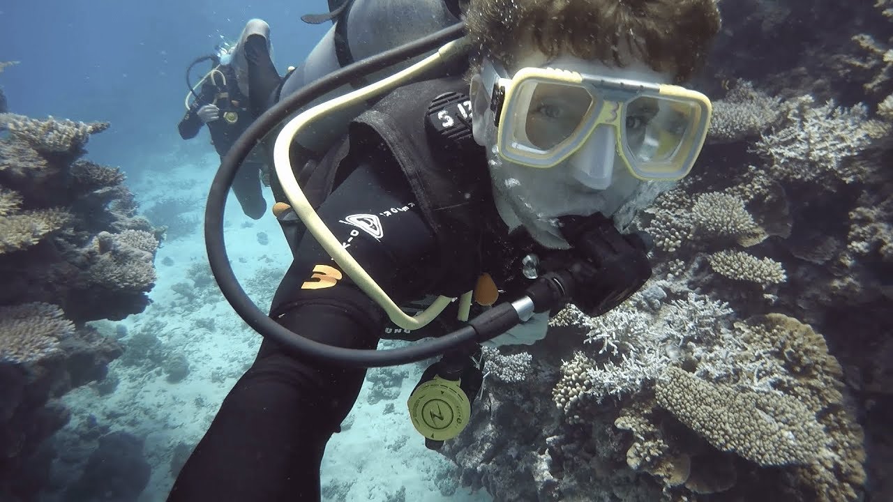 SCUBA diving the Great Barrier Reef (from Cairns)