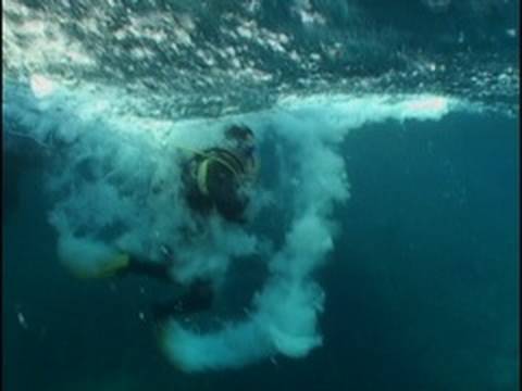 Scuba Diving in a Tsunami