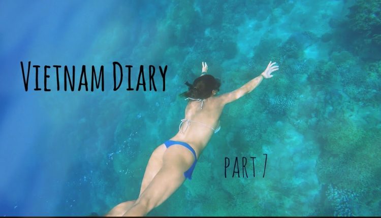DIVING IN AN INCREDIBLE CORAL REEF | Vietnam Diary - part 7