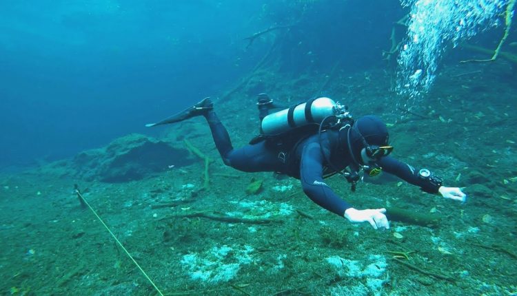 General Tips For Scuba Divers - Online Training