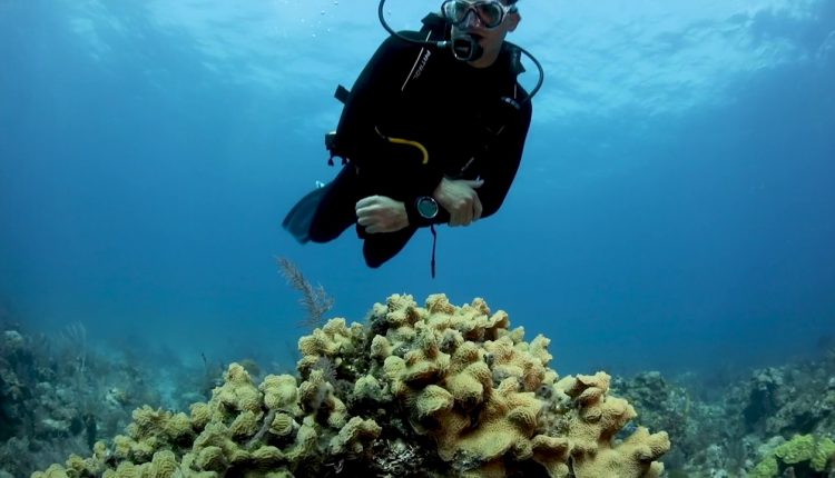 Breathe Easy Underwater with Cressi Scuba Diving Gear