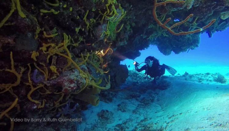 Underwater Kinetics UK C4 and C8 eLED (L2)