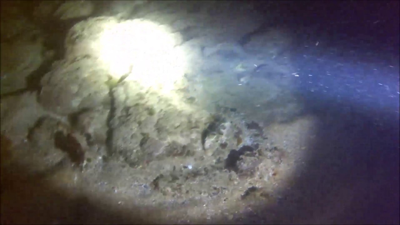 Thorfire TD26 Underwater Test (1000 lumen diving flashlight)
