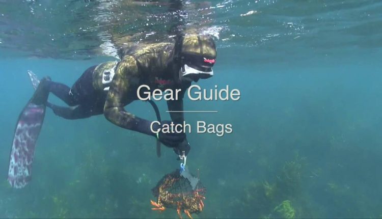 Catch Bags - Wettie TV- 'GEAR GUIDE'