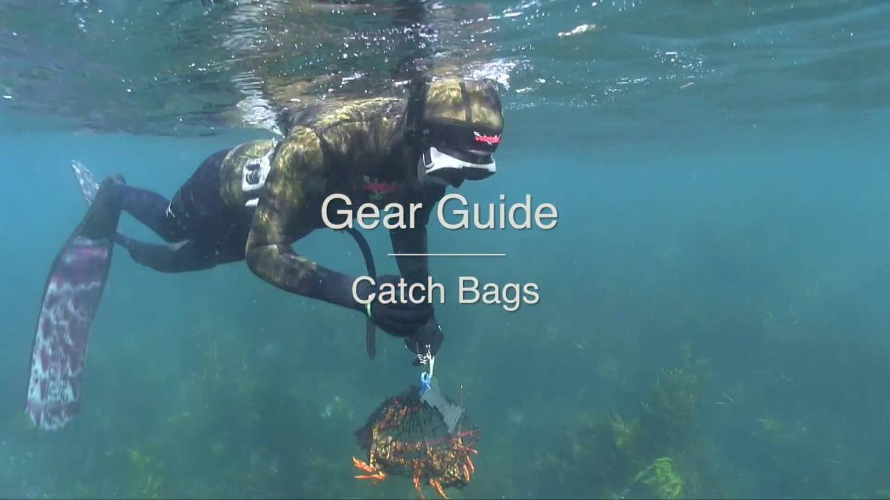 Catch Bags - Wettie TV- 'GEAR GUIDE'