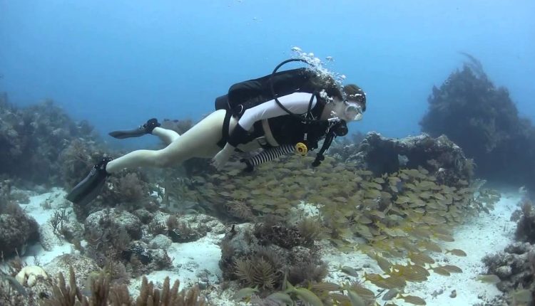 ScubaLab TV: Dive Rite Transpac XT BC