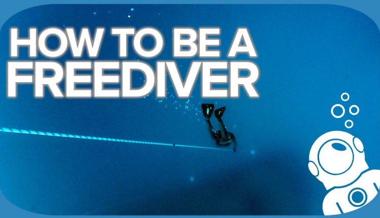 How To Be A Freediver
