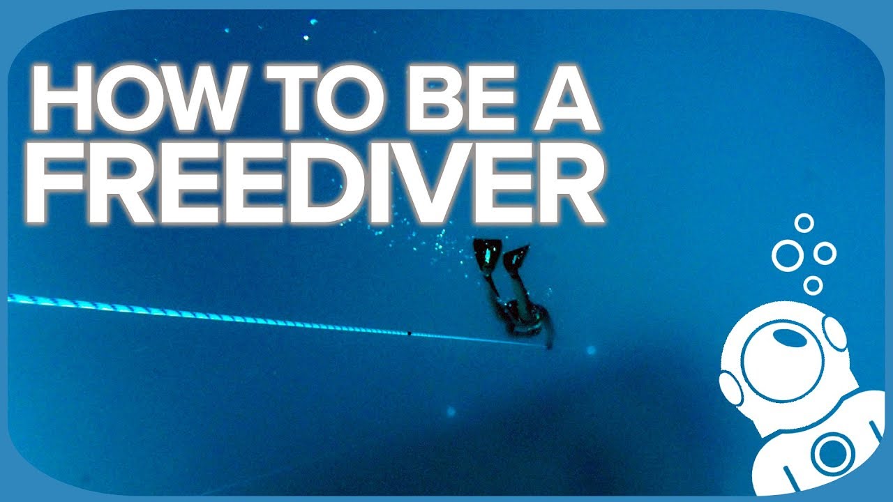 How To Be A Freediver