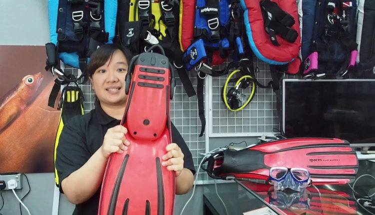 Product Review: Mares Avanti Quattro Plus