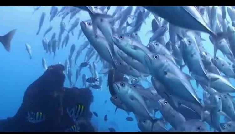 Start your Adventure Now