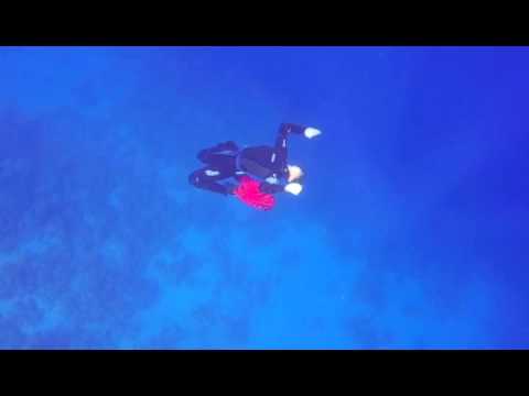 Underwater freediving fun with Mares