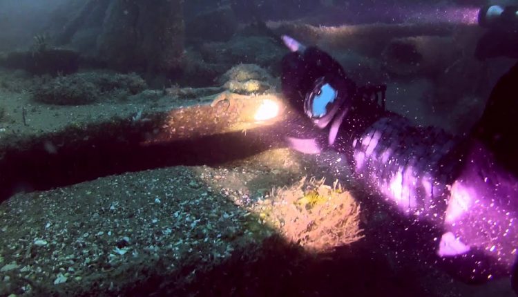 Eastbourne Dive Oceana