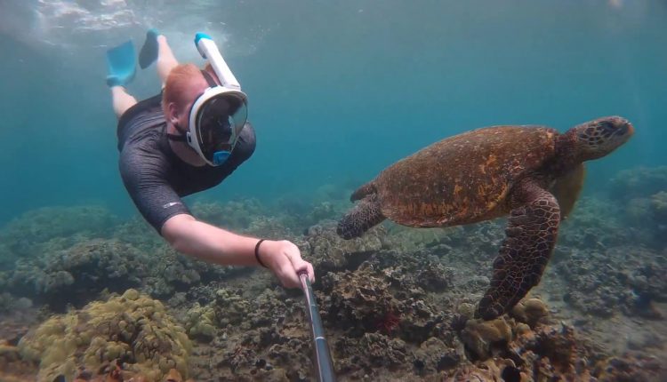 Head Sport - full face snorkel mask review