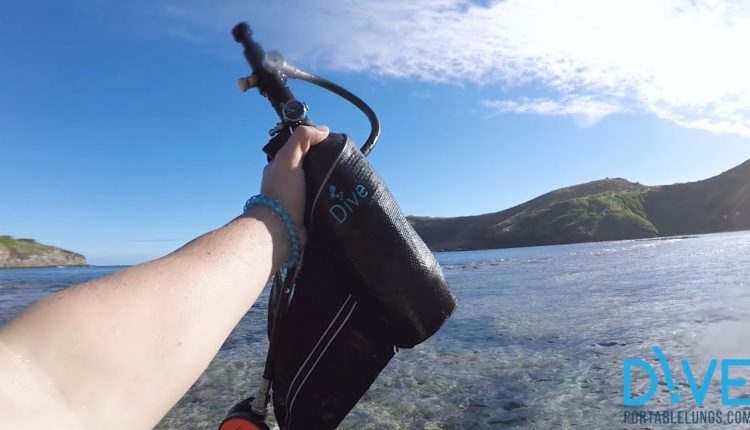 Mini Refillable Scuba Tank - Dive Portable Lungs - Scuba Diving in Hawaii looking for treasures