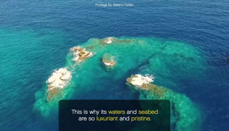 Log book - Ponza, Italy