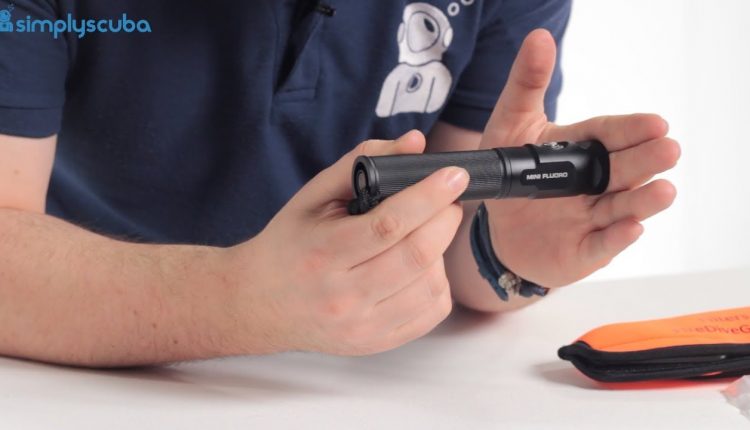 Sealife Sea Dragon Mini Fluoro Torch Review