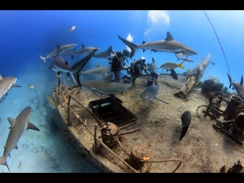 Bahamas Diving Trip 2016