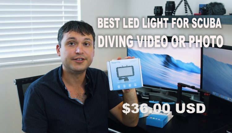 Cheap and Best LED Lights for GoPro 3 4 5 6 7 & Sony X3000 for scuba underwater video photography