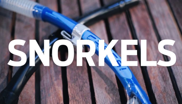 Tips for Buying Your First Mask, Fins & Snorkel