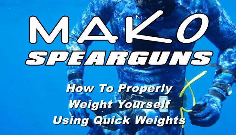 Freediving Quick Weights - How To Properly Weight Yourself