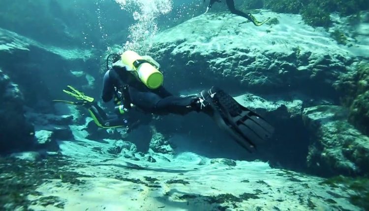 ScubaLab Best Buy: Seac F1S Fins