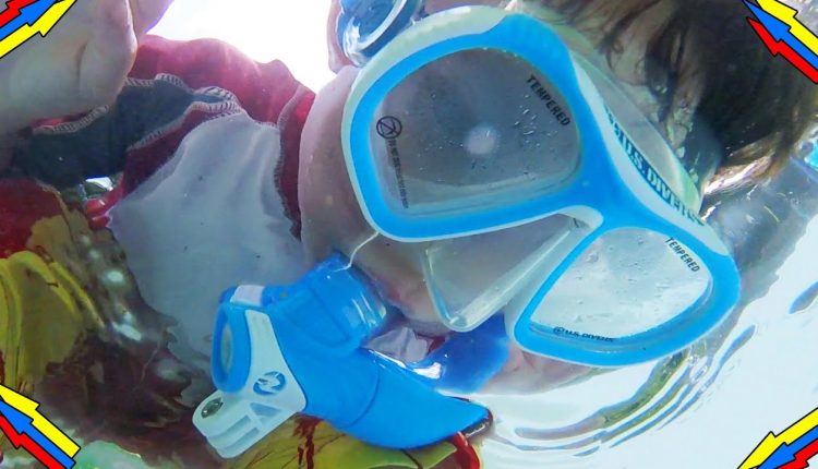 Kids Snorkeling in Pensacola Beach Snorkeling Reef - WILL THEY SNORKEL? - Part 3