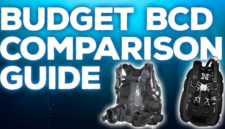 Entry Level BCD Comparison Guide