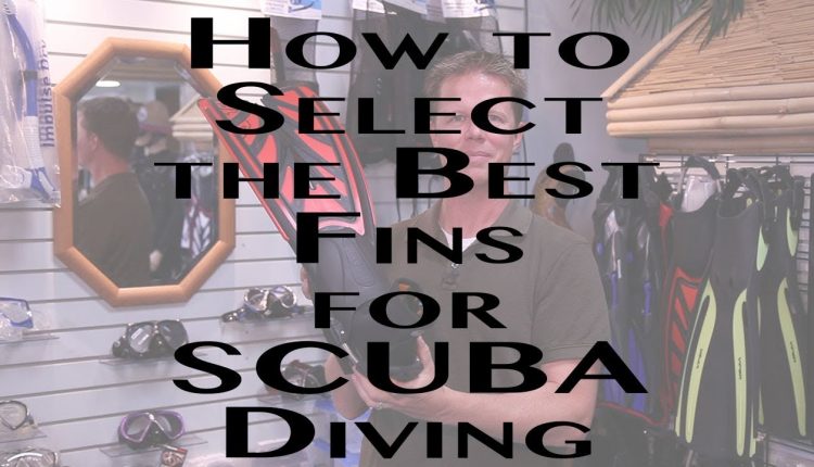 How To Select the Best Fins for SCUBA Diving