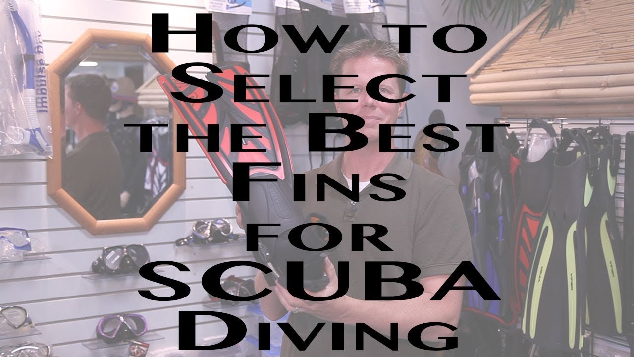 How To Select the Best Fins for SCUBA Diving
